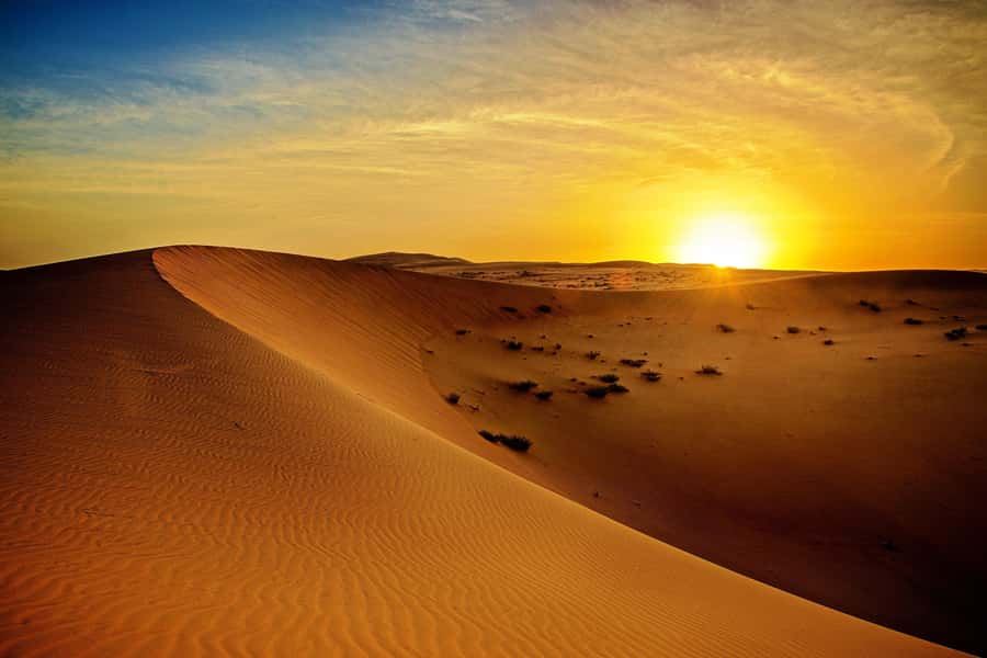 Dubai: Sunrise Desert Jeep Safari with Wildlife Experience - Sunrise, sandboarding, and the best photo stops