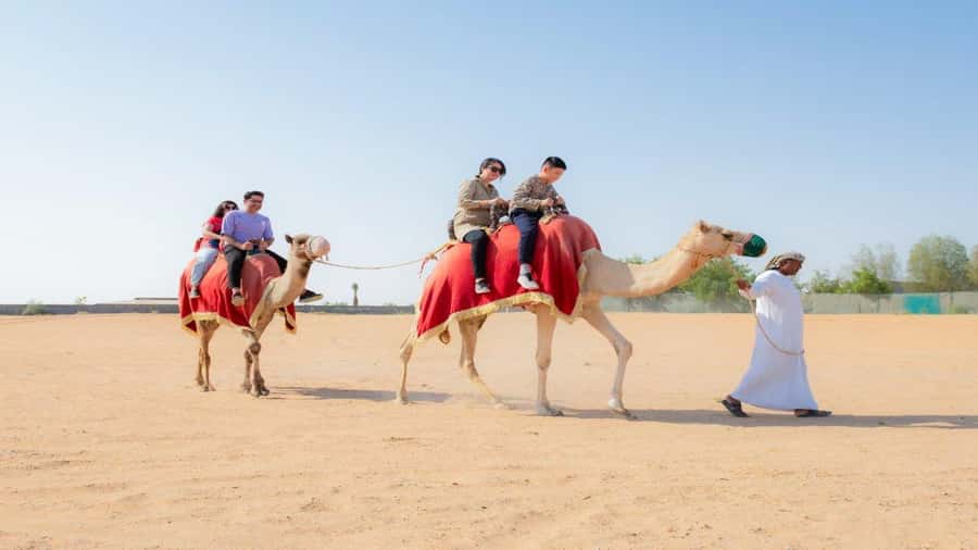 Dubai: Sunrise Hot Air Balloon Flight, Breakfast, Camel Ride - Landing, breakfast, and the short camel ride