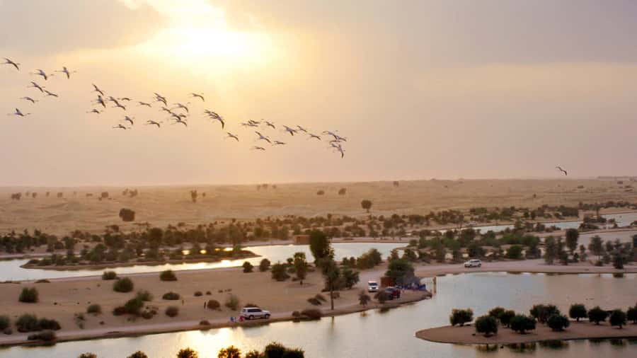 Dubai: Sunrise Hot Air Balloon Tour with E-Certificate - Group size and the question of personal space