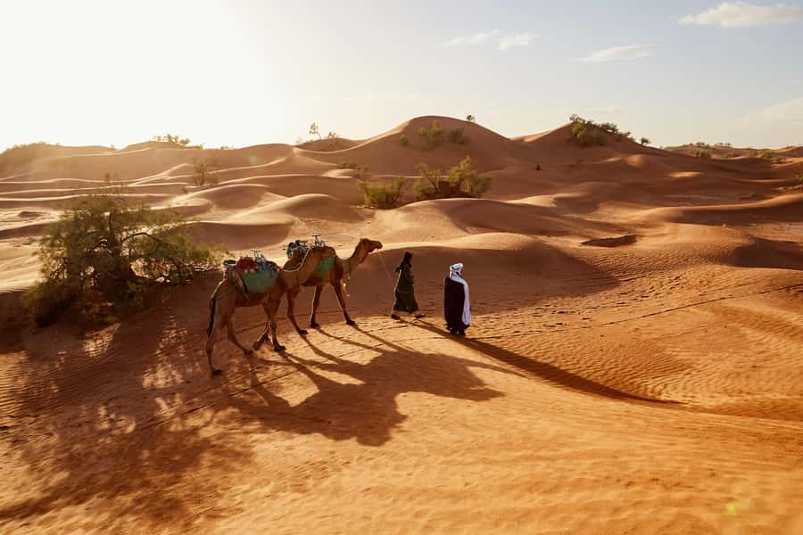 Dubai: Sunrise Hot Air Balloon Tour with E-Certificate - What the balloon flight feels like