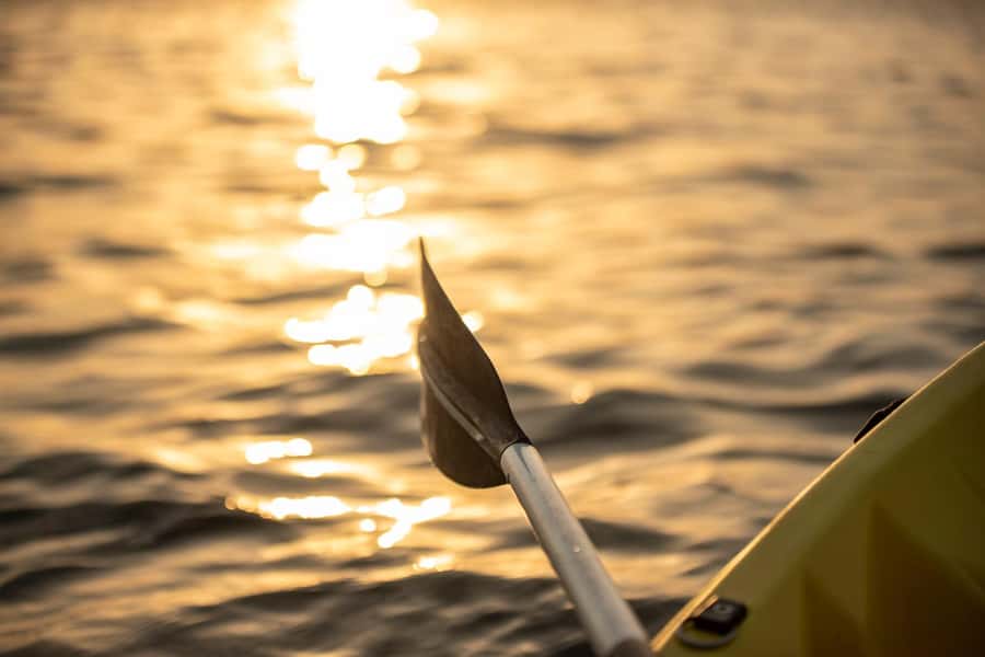 Dubai: Sunset/Night Dubai Creek Kayak Tour - Why the sunset timing matters
