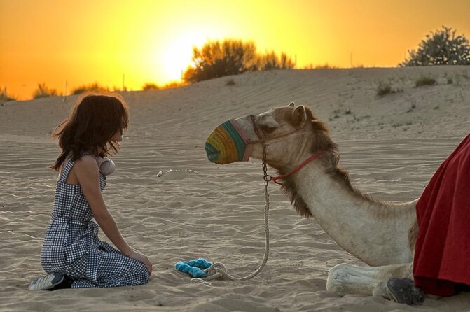 Dubai Sunset Red Dune Desert Safari, Sandboarding and Camel Ride - What $40 gets you, and where the value changes