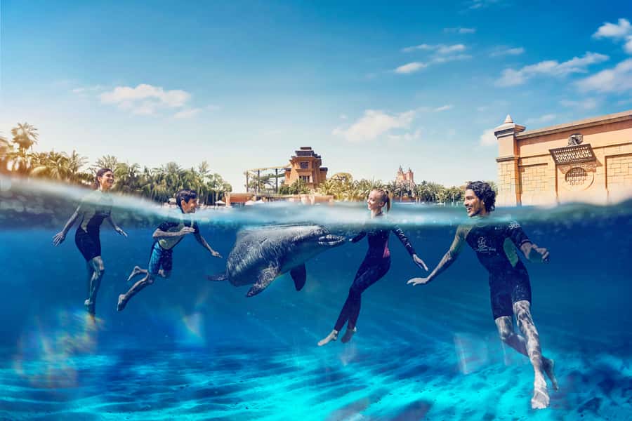 Dubai: Swim with Dolphins at Atlantis Waterpark - Key points at a glance