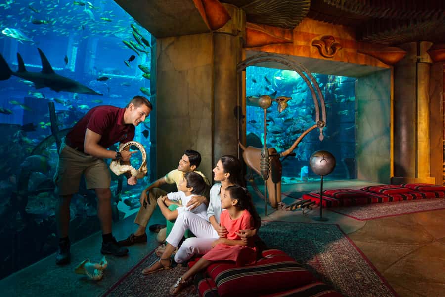 Dubai: The Lost Chambers Aquarium Atlantis Diving Experience - Discovery or Explorer: choosing the right session