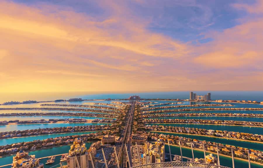 Dubai: The View At The Palm Observatory Entry Ticket - The View Exhibition sets up the visit