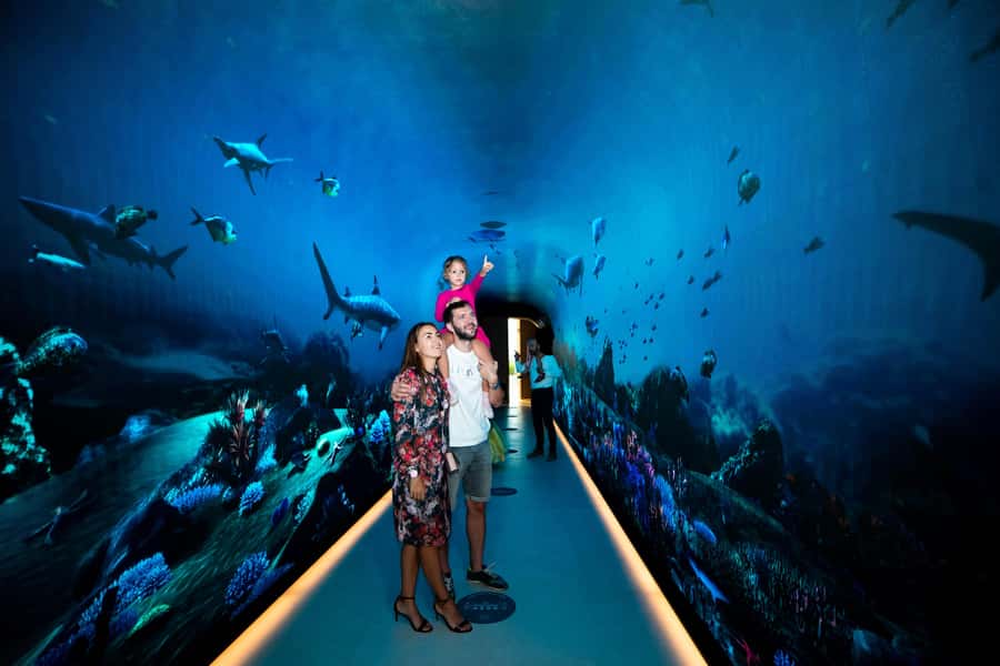 Dubai: The View At The Palm Observatory Entry Ticket - Comparing The View with Burj Khalifa