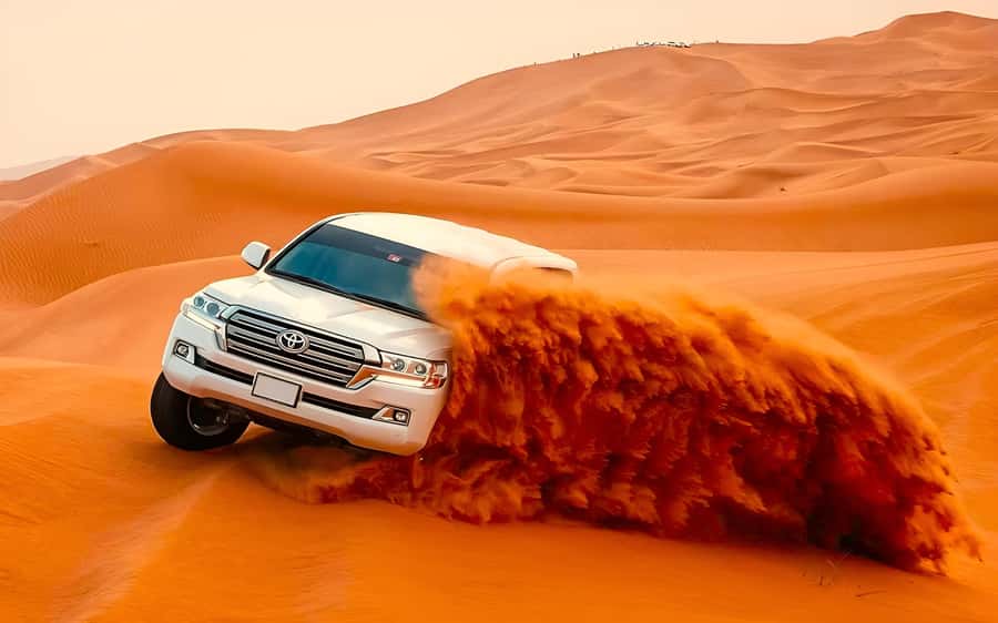 Dubai: Tour with BBQ Dinner, Camel Ride, & Traditional Show - A short camel ride, henna, and falcon photos