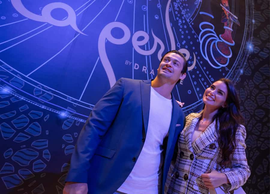 Dubai: Water Canal Cruise and La Perle Show with Dinner - Why La Perle gets most of the praise