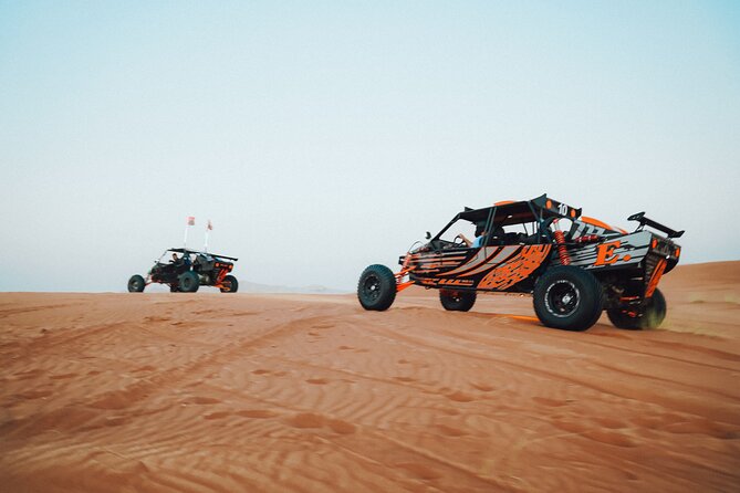 Dune Buggy Experience and Dinner at Mleiha Archaeological Center - Camels first, with a slower view of the desert