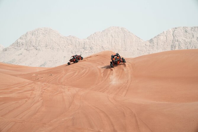 Dune Buggy Experience and Dinner at Mleiha Archaeological Center - Who will enjoy this outing most