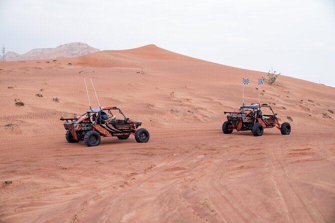 Dune Buggy Experience & Fossil Discovery in Mleiha National Park - What the $327 Group Price Really Buys