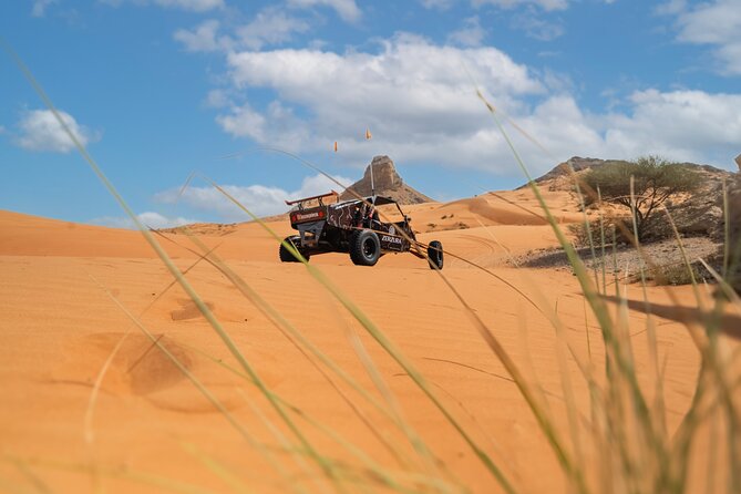 Dune Buggy & Private Dinner in the Dunes in Mleiha National Park - The track: speed, sand, and wide-open views