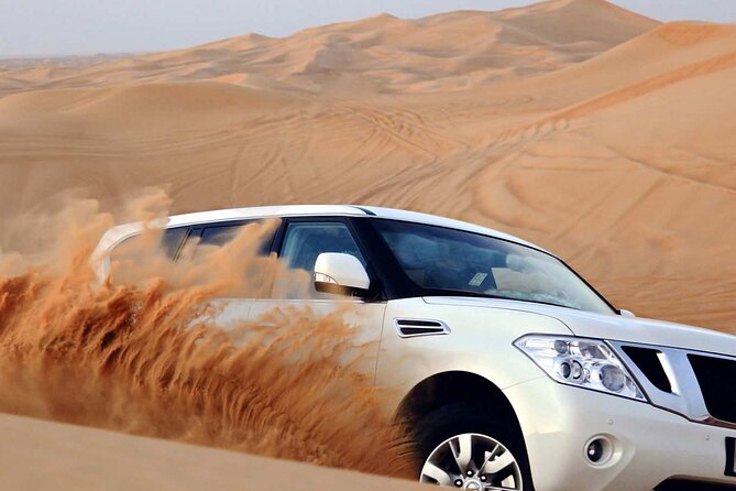 Dune Safari with 4X4 Car and BBQ Dinner - Meeting the camels at the camp