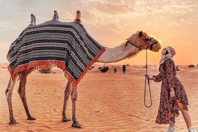 Evening Desert Safari & BBQ With Live Shows,Camel Ride,Falcon pic - Arriving at the Al Awir camp