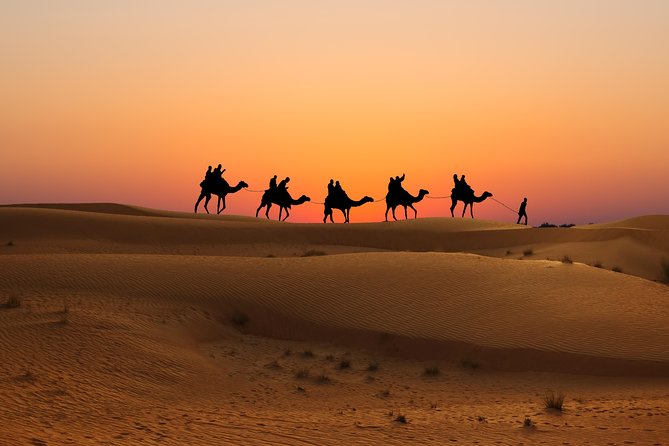 Evening Desert Safari in Dubai, Sandboard & BBQ Dinner - BBQ dinner with choices for different diets
