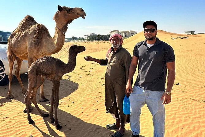 Evening Desert Safari Tours - Who should book this safari?