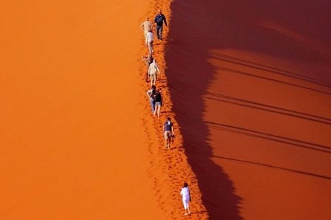 Evening Desert Safari with Belly Dance and BBQ Dinner and Camel Ride - Group Size, Comfort, and What to Watch