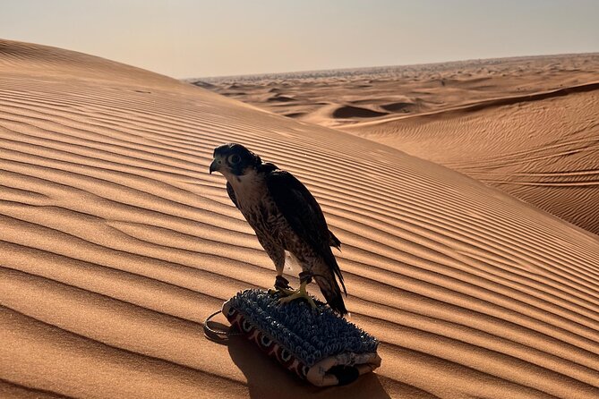 Evening Dubai Desert Safari, Red Sand, Premium camp shows & Diner - Quad bikes and dune buggies cost extra