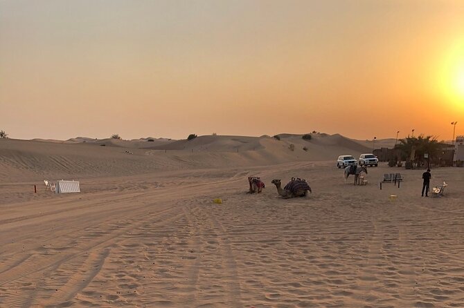 Exhilarating Desert Safari, Including BBQ Dinner from Dubai - A Bedouin-style camp with included activities