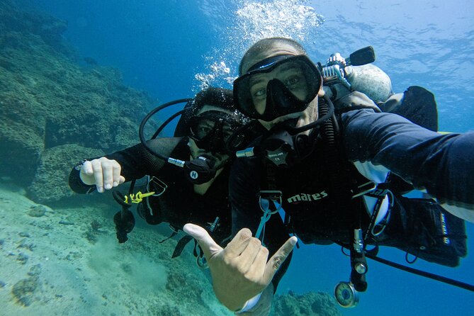 From Abu Dhabi: 2 Dives for Certified Divers in Fujairah - The 6:00 am start from Abu Dhabi