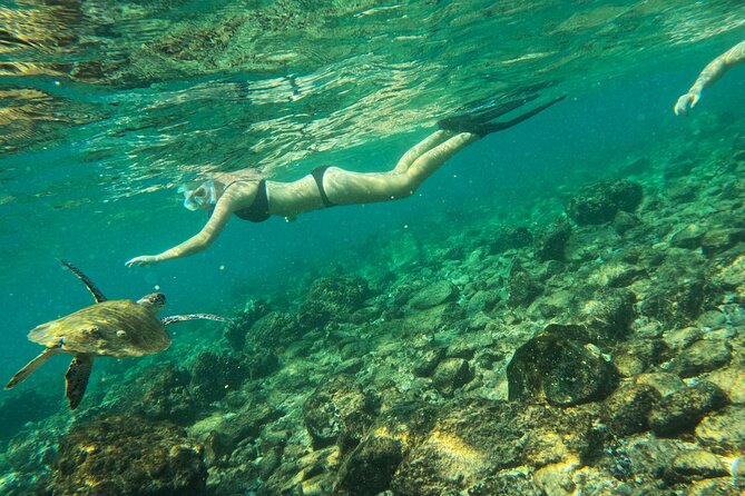 From Abu Dhabi: Snorkeling with turtles in Fujairah with BBQ - A comfortable boat for the hours between swims
