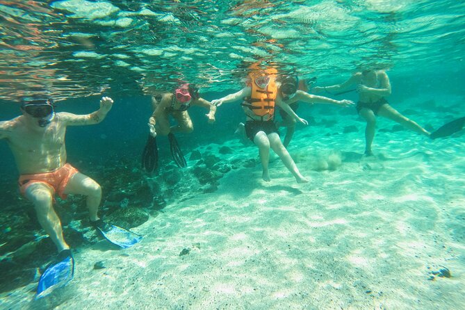From Abu Dhabi: Snorkeling with turtles in Fujairah with BBQ - Is $195.09 good value?