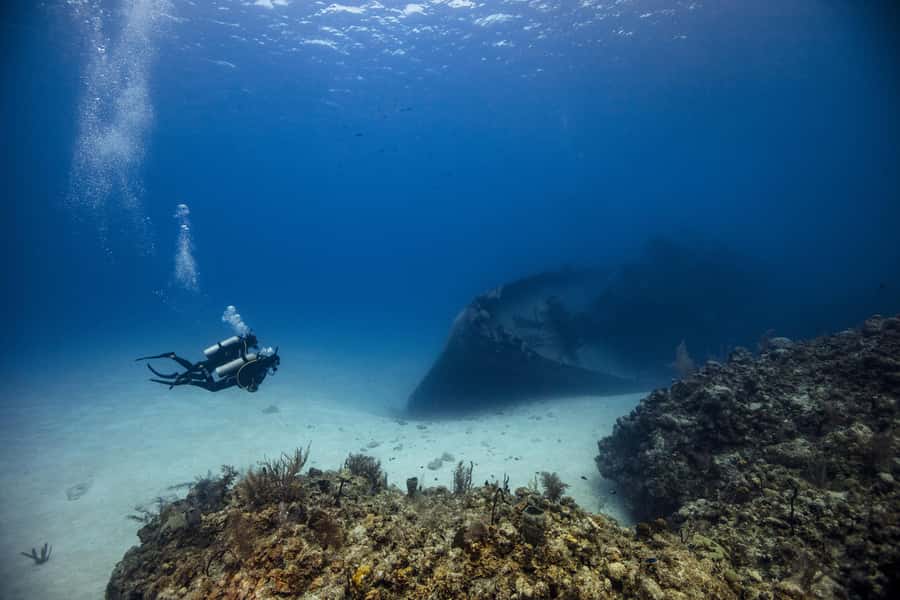 From Dubai: 2 Dives for Certified Divers with BBQ & Transfer - Key details before you book