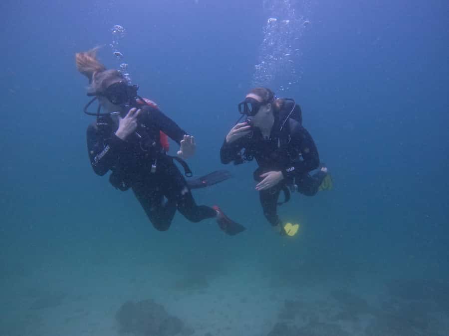 From Dubai: 2 Dives for Certified Divers with BBQ & Transfer - From Dubai to Fujairah before breakfast