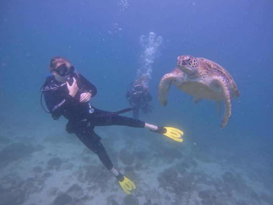 From Dubai: 2 Dives for Certified Divers with BBQ & Transfer - What the guides add to the day