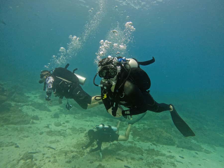 From Dubai: 2 Dives for Certified Divers with BBQ & Transfer - Boat comfort and an important point to verify