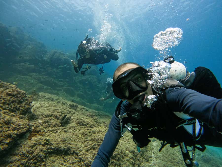 From Dubai: 2 Dives for Certified Divers with BBQ & Transfer - BBQ lunch at Reef Oasis Dive Center