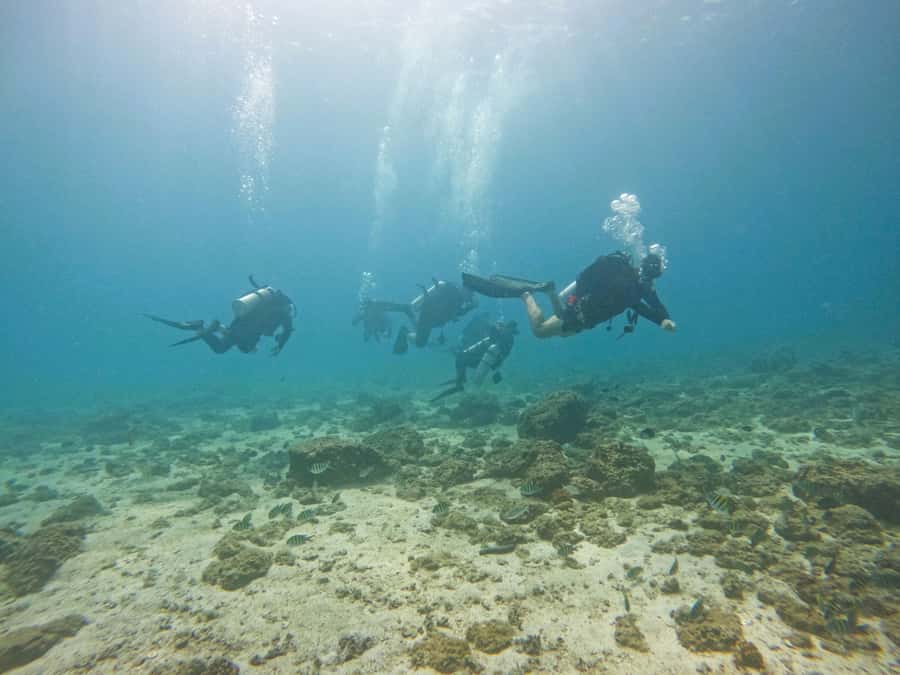 From Dubai: 2 Dives for Certified Divers with BBQ & Transfer - The return route adds three quick stops