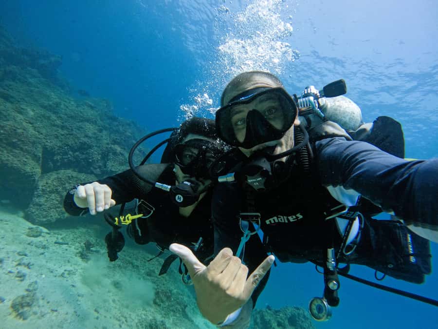 From Dubai: 2 Dives for Certified Divers with BBQ & Transfer - What to pack for a smoother day