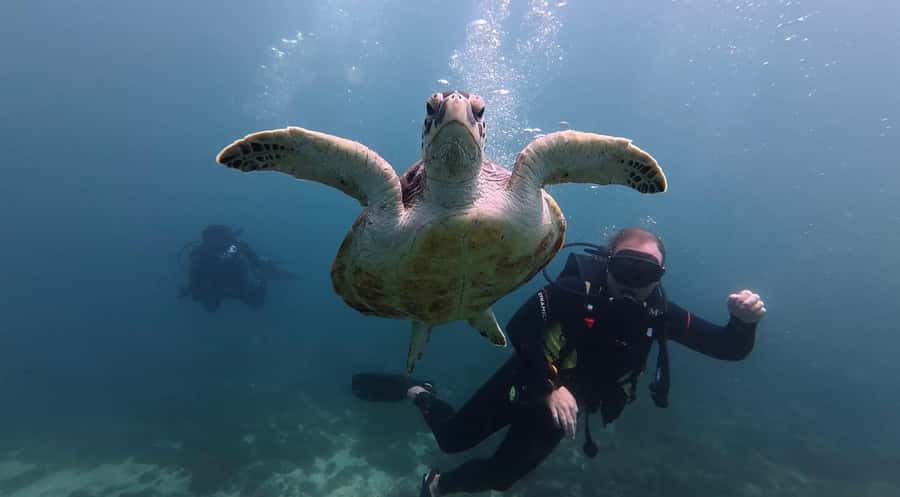 From Dubai: Discovery Scuba Diving & Snorkeling In Fujairah - Timing, comfort, and practical limits