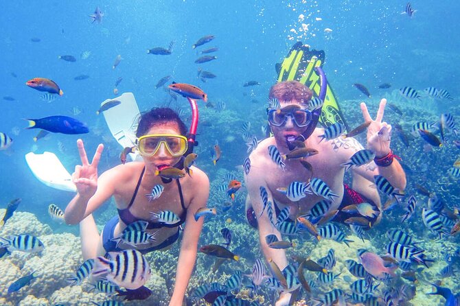 From Dubai: Discovery Scuba Diving & Snorkeling trip in Fujairah - Getting ready with the Nemo Diving Center team