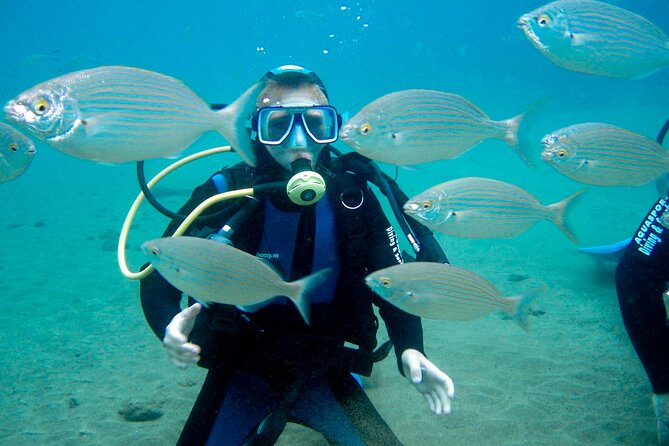 From Dubai: Discovery Scuba Diving & Snorkeling trip in Fujairah - Who will get the most from this Fujairah outing