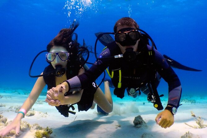 From Dubai: Discovery Scuba Diving & Snorkeling trip in Fujairah - Should you book it?