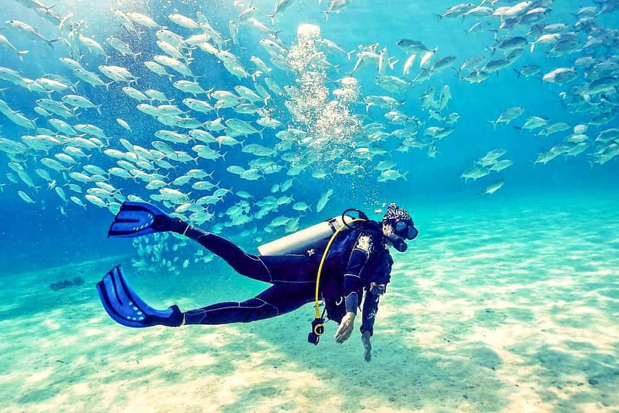 From Dubai: Fujairah Half-Day Scuba Dive and Snorkeling - Why Fujairah is worth the long road from Dubai