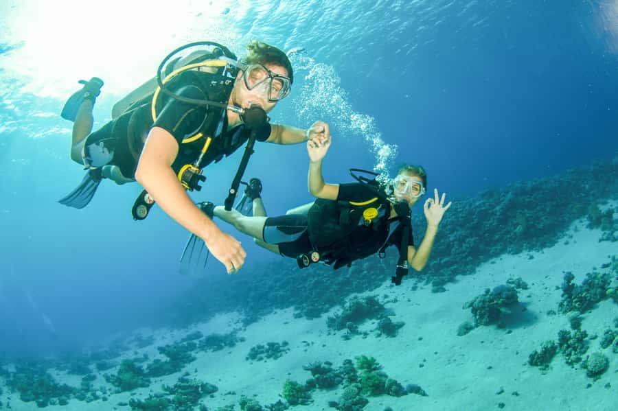 From Dubai: Fujairah Half-Day Scuba Dive and Snorkeling - Your first time underwater