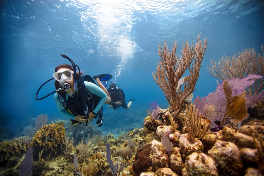 From Dubai: Fujairah Scuba Dive and Snorkeling - Key points to know before booking