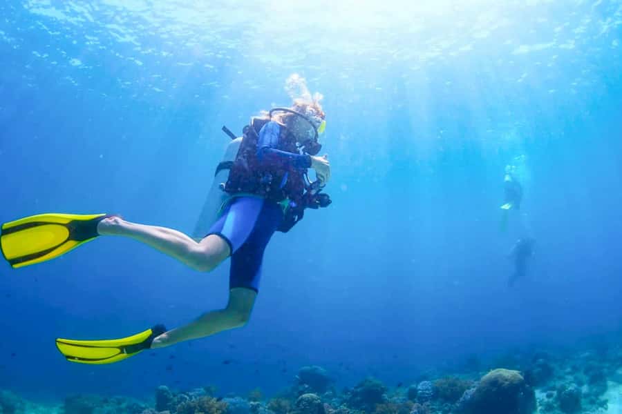 From Dubai: Fujairah Scuba Dive and Snorkeling - Cruising to the first reef site