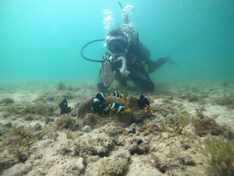 From Dubai: Fujairah Scuba Dive and Snorkeling - Two underwater sessions, two different settings