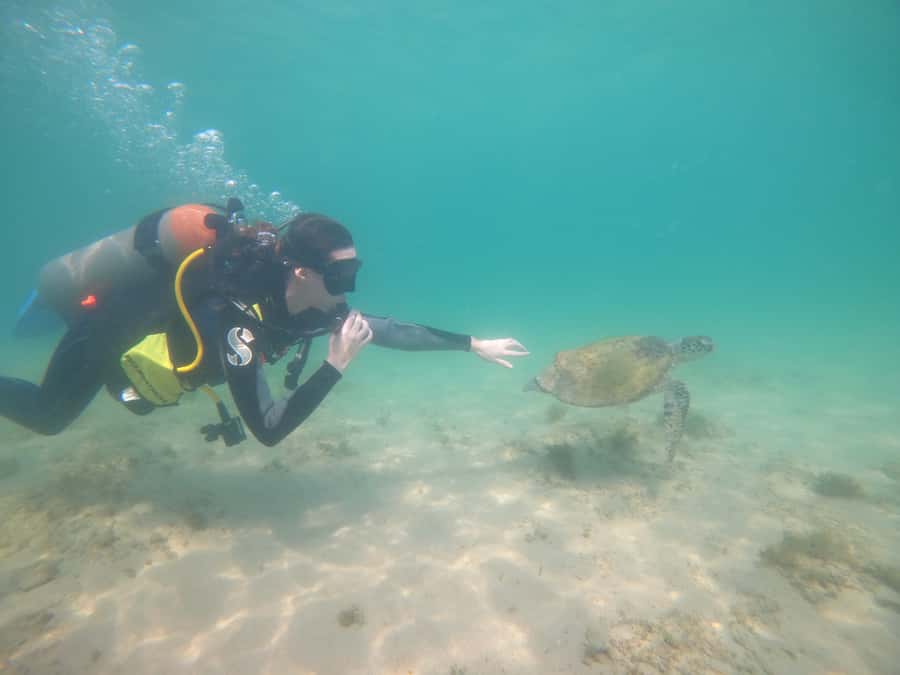 From Dubai: Fujairah Scuba Dive and Snorkeling - Is the $157 price fair?