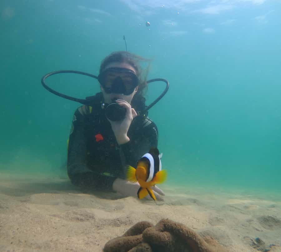 From Dubai: Fujairah Scuba Dive and Snorkeling - Who will get the most from this trip?