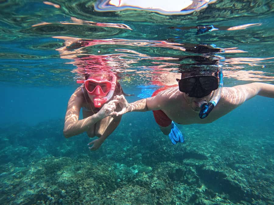 From Dubai: Fujairah Snorkeling with Turtles, Transfer & BBQ - Why Fujairah makes this a full-day outing