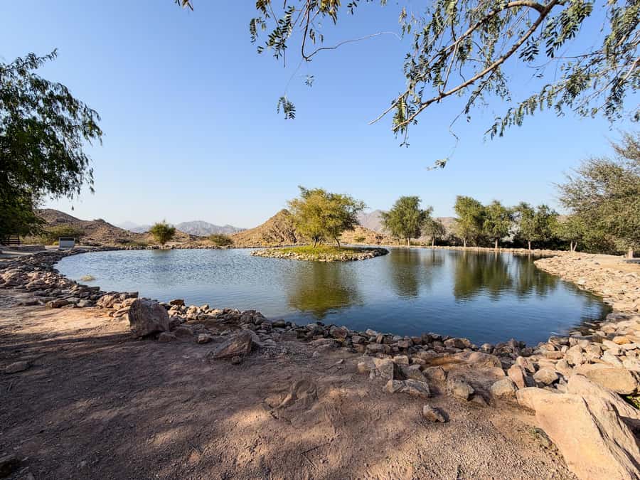 From Dubai: Hatta Sightseeing Tour with kayaking - Who should book this tour?