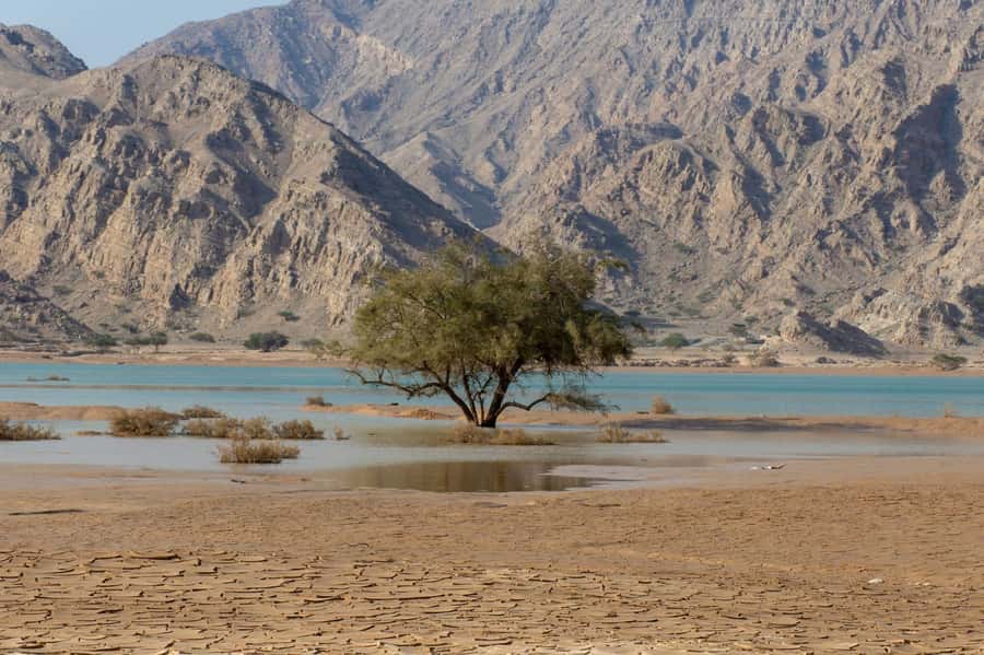 From Dubai: Jabel Jais High Mountain Tour with Transfers - How the private format affects value