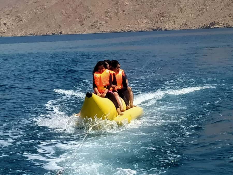 From Dubai/Sharjah/RAK: Dibba Musandam Trip & Dhow Cruise - Why this Musandam day trip is worth considering