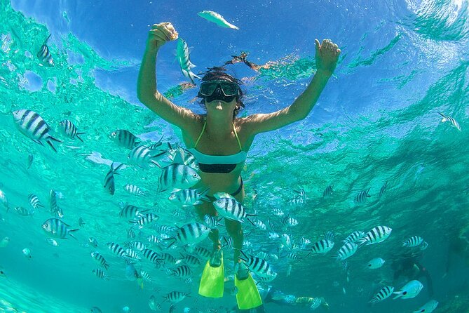 From Dubai: Snorkeling trip in Fujairah - Key points to know before you book