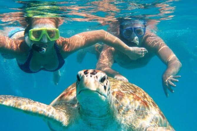From Dubai: Snorkeling trip in Fujairah - From Dubai to Fujairah by road